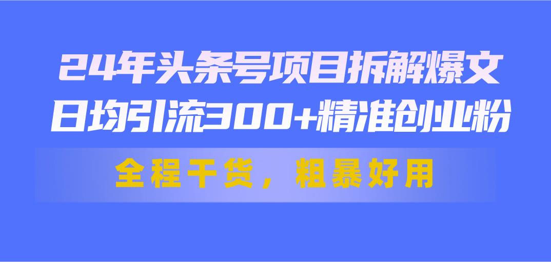 24年头条号项目拆解爆文，日均引流300+精准创业粉，全程干货，粗暴好用-泱泱学习社