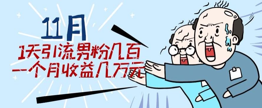 11月最新每天引流男粉300+一个月收益几万元-泱泱学习社