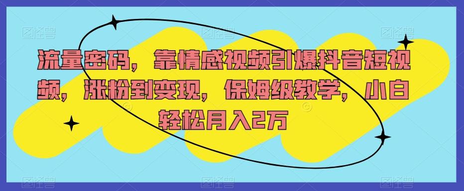 流量密码，靠情感视频引爆抖音短视频，涨粉到变现，保姆级教学，小白轻松月入2万【揭秘】-泱泱学习社