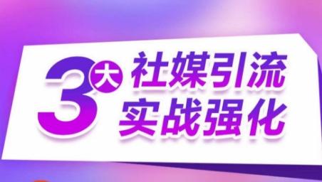 3大社媒引流实战强化，多渠道站外引流，高效精准获客，订单销售额翻倍增长-泱泱学习社