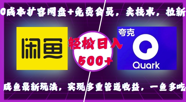 0成本扩容网盘+免费会员，卖技术，拉新，咸鱼最新玩法，实现多重管道收益，一鱼多吃，轻松日入500+-泱泱学习社