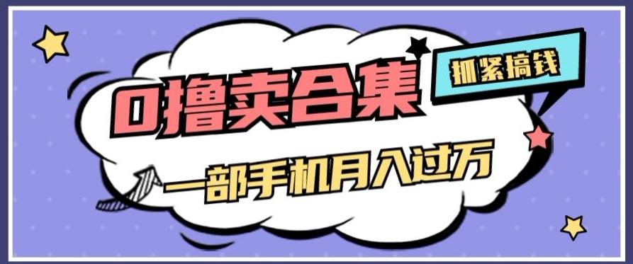 0撸项目月入过万，售卖全套ai工具合集，一单29.9元，一部手机即可【揭秘】-泱泱学习社