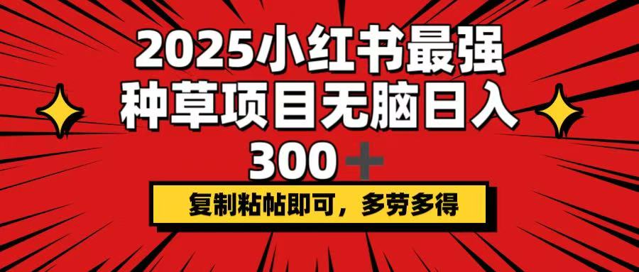 2025小红书最强种草项目，无脑日入300+，复制粘帖即可，多劳多得-泱泱学习社