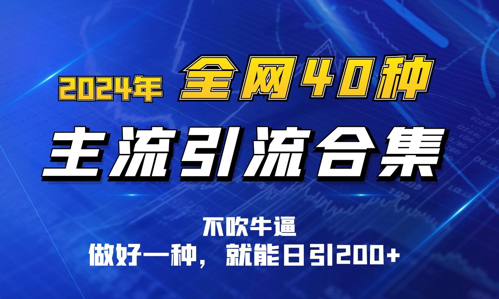 2024年全网40种暴力引流合计，做好一样就能日引100+-泱泱学习社
