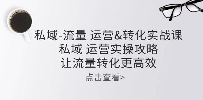 私域-流量 运营&转化实操课：私域 运营实操攻略 让流量转化更高效-泱泱学习社