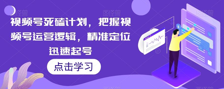 视频号死磕计划，把握视频号运营逻辑，精准定位迅速起号-泱泱学习社