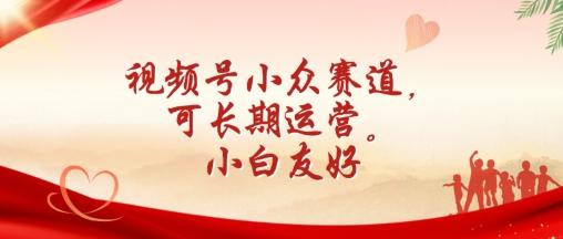 视频号小众赛道，可长期运营，小白友好【揭秘】-泱泱学习社