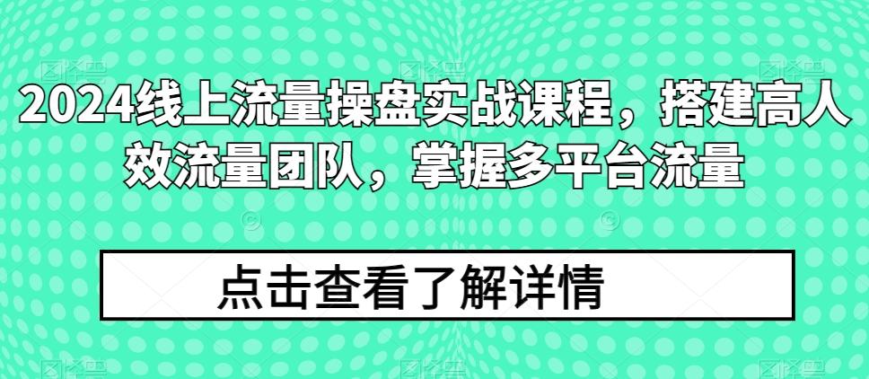 2024线上流量操盘实战课程，搭建高人效流量团队，掌握多平台流量-泱泱学习社