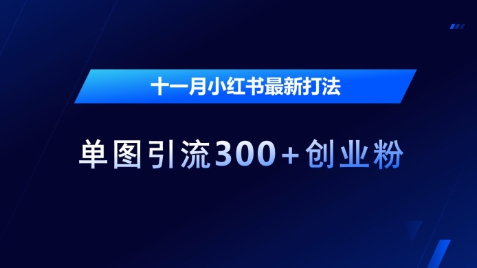 十一月小红书最新打法，单图引流300+创业粉【揭秘】-泱泱学习社