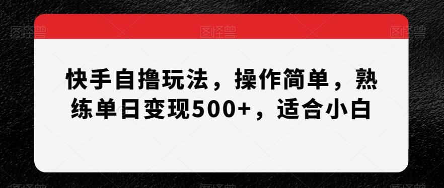 快手自撸玩法，操作简单，熟练单日变现500+，适合小白【揭秘】-泱泱学习社