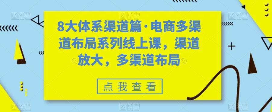 8大体系渠道篇·电商多渠道布局系列线上课，渠道放大，多渠道布局-泱泱学习社