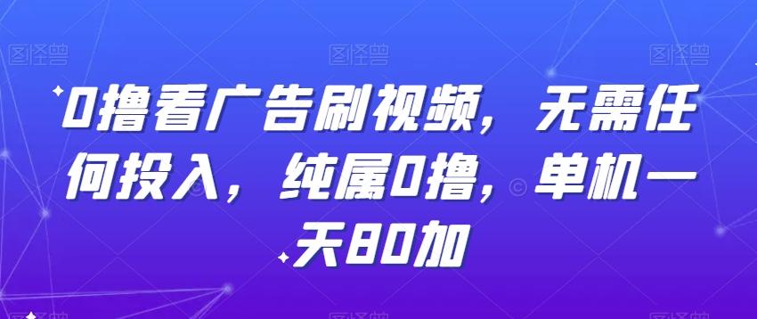 0撸看广告刷视频，无需任何投入，纯属0撸，单机一天80加-泱泱学习社