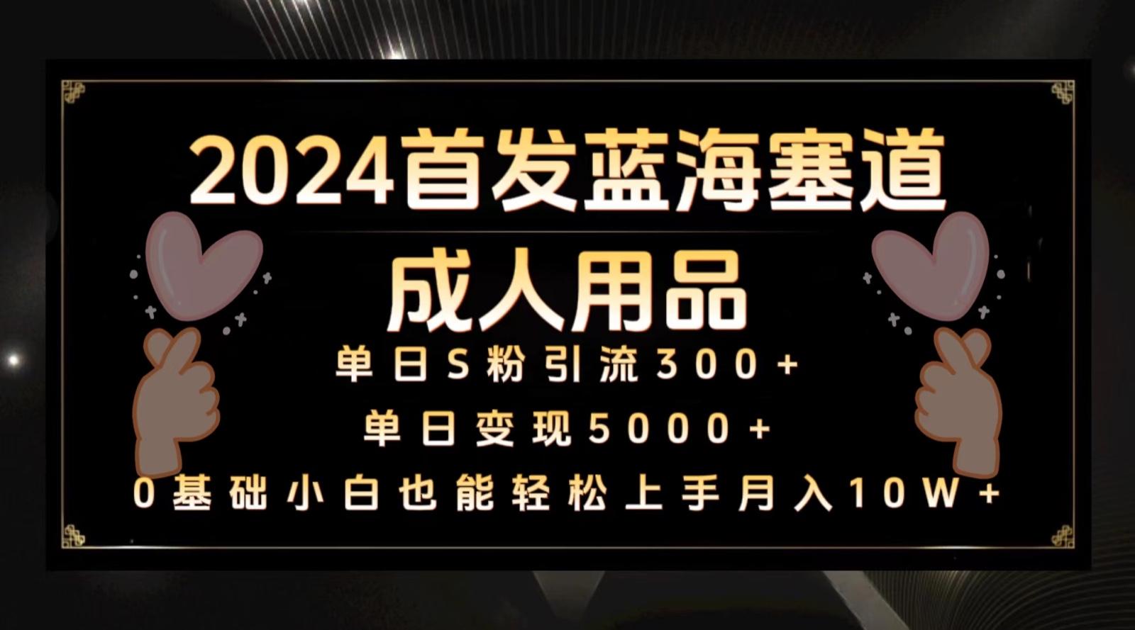2024首发蓝海塞道成人用品，月入10W+保姆教程-泱泱学习社