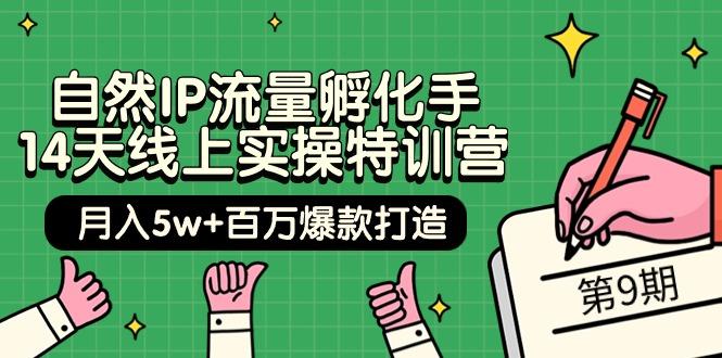 (9881期)自然IP流量孵化手 14天线上实操特训营【第9期】月入5w+百万爆款打造 (74节)-泱泱学习社