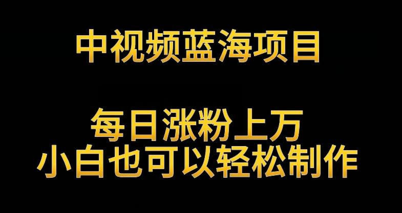 中视频蓝海项目，解读英雄人物生平，每日涨粉上万，小白也可以轻松制作，月入过万不是梦【揭秘】-泱泱学习社