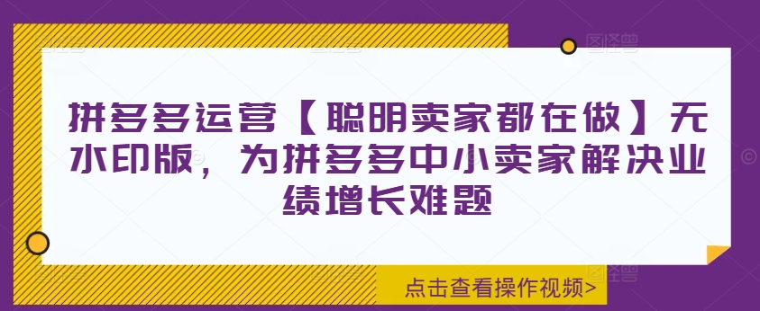 拼多多运营【聪明卖家都在做】无水印版，为拼多多中小卖家解决业绩增长难题-泱泱学习社