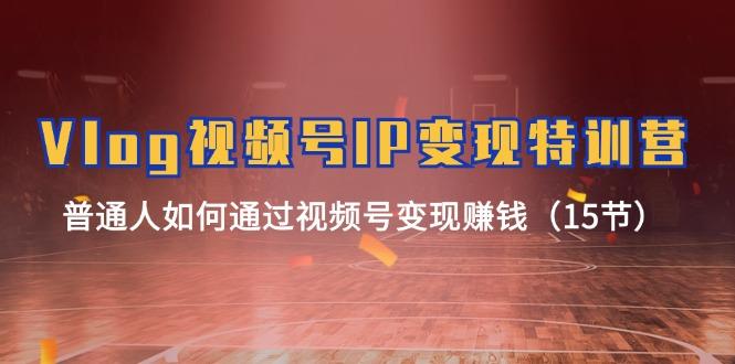 Vlog 视频号IP变现特训营，普通人如何通过视频号变现赚钱(15节-泱泱学习社