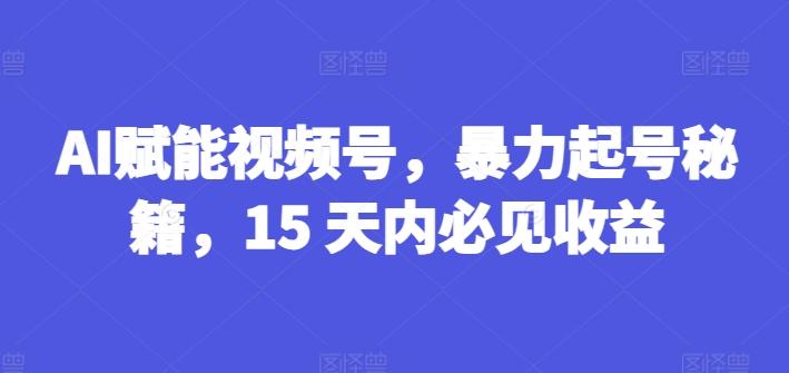 AI赋能视频号，暴力起号秘籍，15 天内必见收益【揭秘】-泱泱学习社