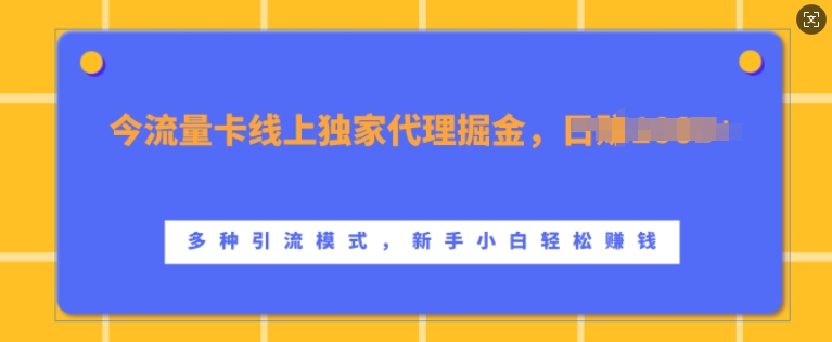 流量卡线上独家代理掘金，日入1k+ ，多种引流模式，新手小白轻松上手【揭秘】-泱泱学习社