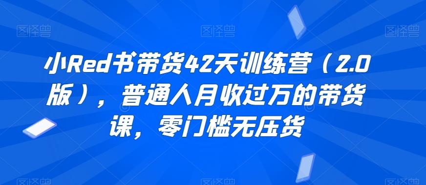 小Red书带货42天训练营(2.0版)，普通人月收过万的带货课，零门槛无压货-泱泱学习社