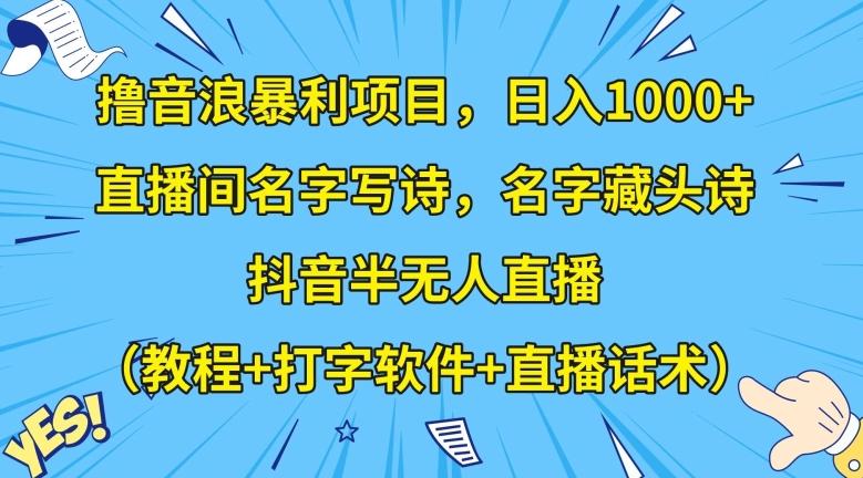 撸音浪暴利项目，日入1000+，直播间名字写诗，名字藏头诗，抖音半无人直播（教程+打字软件+直播话术）【揭秘】-泱泱学习社