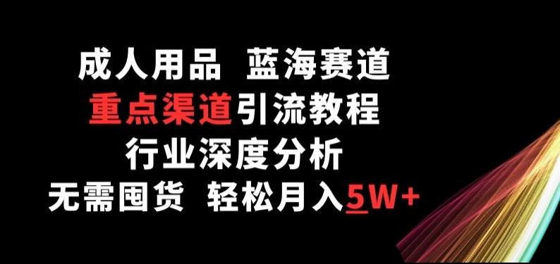 成人用品，蓝海赛道，重点渠道引流教程，行业深度分析，无需囤货，轻松月入5W+【揭秘】-泱泱学习社