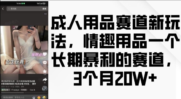 成人用品赛道新玩法，情趣用品一个长期暴利的赛道，3个月收益20个【揭秘】-泱泱学习社