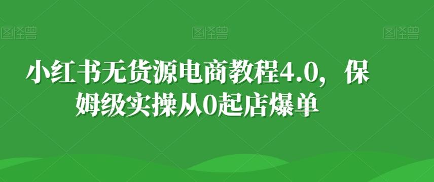 小红书无货源电商教程4.0，保姆级实操从0起店爆单【拆解】-泱泱学习社