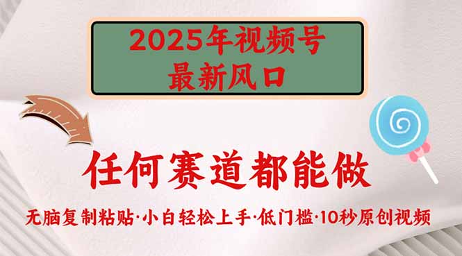 2025年视频号新风口，低门槛只需要无脑执行-泱泱学习社