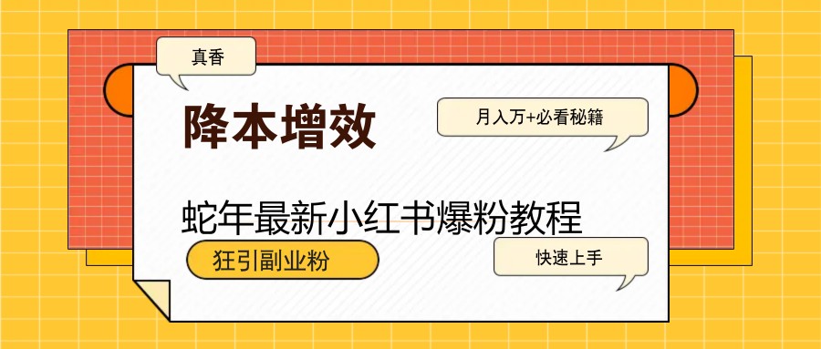 蛇年最新小红书爆粉教程，狂引副业粉，月入万+必看-泱泱学习社