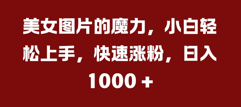 美女图片的魔力，小白轻松上手，快速涨粉，日入几张【揭秘】-泱泱学习社