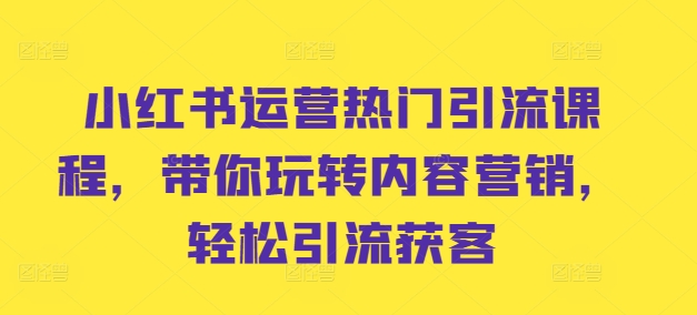 小红书运营热门引流课程，带你玩转内容营销，轻松引流获客-泱泱学习社