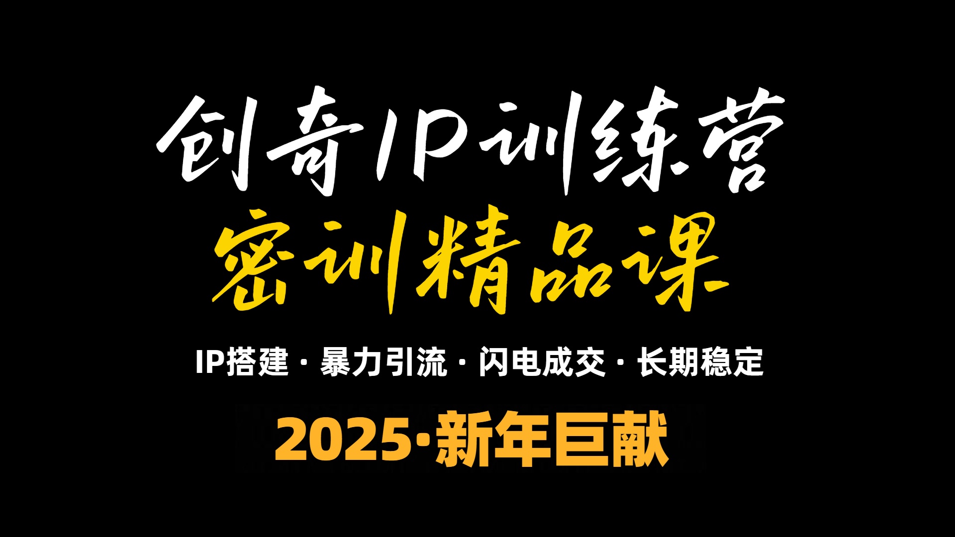 2025年“知识付费IP训练营”小白避坑年赚百万，暴力引流，闪电成交-泱泱学习社