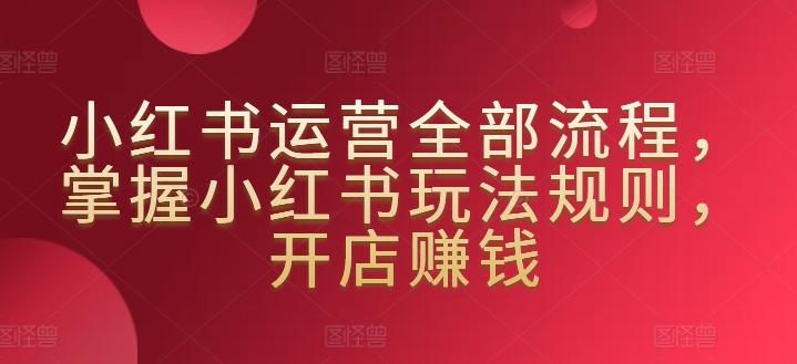 小红书运营全部流程，掌握小红书玩法规则，开店赚钱-泱泱学习社