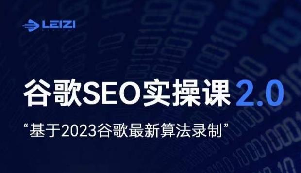 雷子·谷歌SEO 2.0实战课，独立站询盘自由必备，基于2023谷歌最新算法录制-泱泱学习社