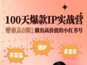 小红书100天爆款IP实战营，带你从0到1做出高价值的小红书号-泱泱学习社