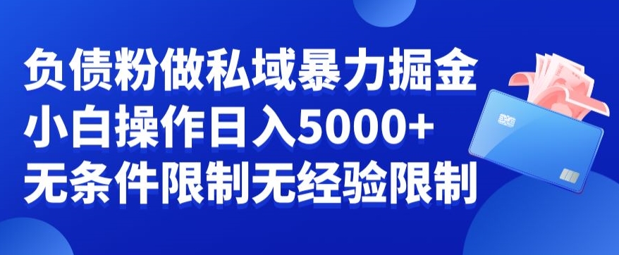 负债粉私域暴力掘金，小白操作入5000，无经验限制，无条件限制【揭秘】-泱泱学习社