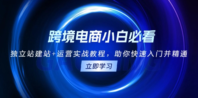 跨境电商小白必看！独立站建站+运营实战教程，助你快速入门并精通-泱泱学习社
