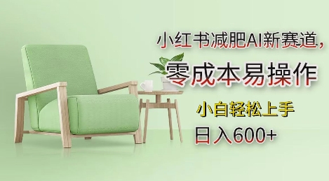 小红书减肥AI新赛道，零成本易操作，日入多张，小白轻松上手【揭秘】-泱泱学习社