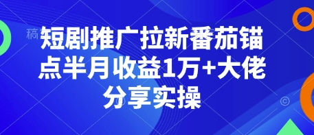 短剧推广拉新番茄锚点半月收益1万+大佬分享实操-泱泱学习社