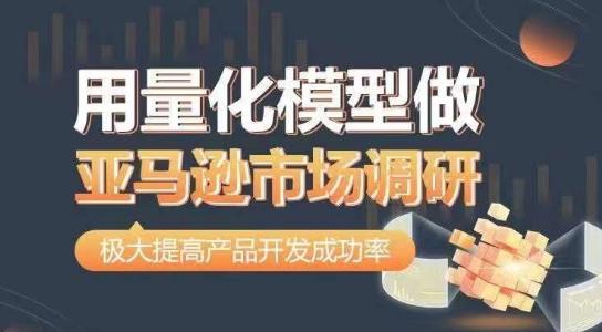 用量化模型做亚马逊市场调研，从数据出发，更高效更准确做判断，极大提高产品开发成功率-泱泱学习社
