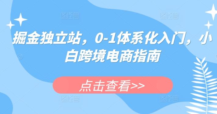 掘金独立站，0-1体系化入门，小白跨境电商指南-泱泱学习社