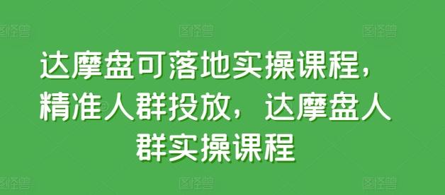 达摩盘可落地实操课程，精准人群投放，达摩盘人群实操课程-泱泱学习社