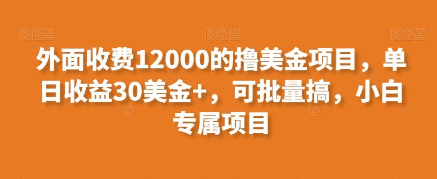 外面收费12000的撸美金项目，单日收益30美金+，可批量搞，小白专属项目-泱泱学习社