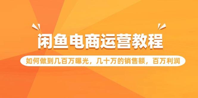 (9560期)闲鱼电商运营教程：如何做到几百万曝光，几十万的销售额，百万利润-泱泱学习社