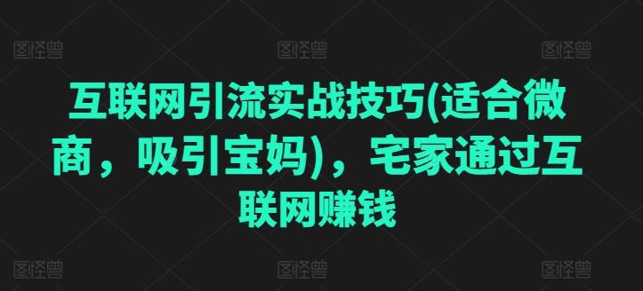 互联网引流实战技巧(适合微商，吸引宝妈)，宅家通过互联网赚钱-泱泱学习社