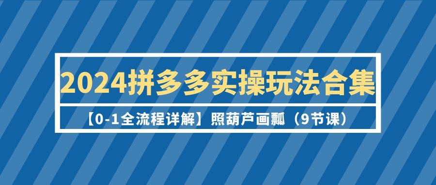 (9559期)2024拼多多实操玩法合集【0-1全流程详解】照葫芦画瓢(9节课)-泱泱学习社