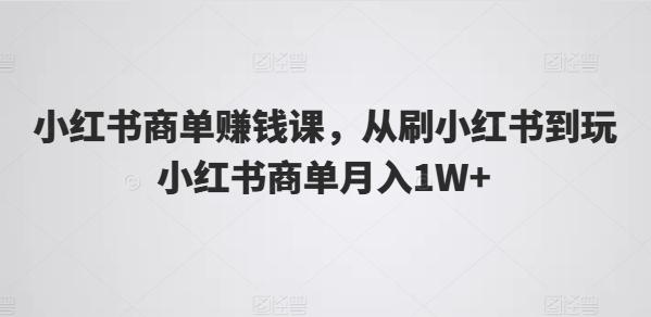 小红书商单赚钱课，从刷小红书到玩小红书商单月入1W+-泱泱学习社