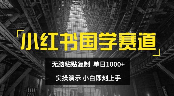小红书国学赛道，无脑粘贴复制，单日1K，实操演示，小白即刻上手【揭秘】-泱泱学习社