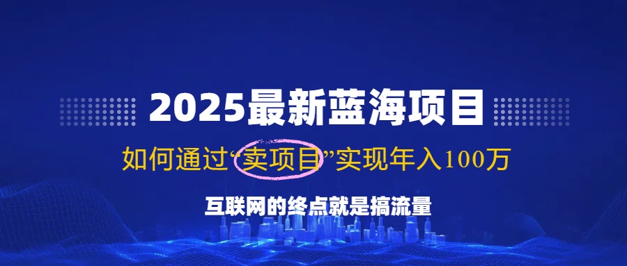 2025最新蓝海项目，零门槛轻松复制，月入10万+，新手也能操作！-泱泱学习社